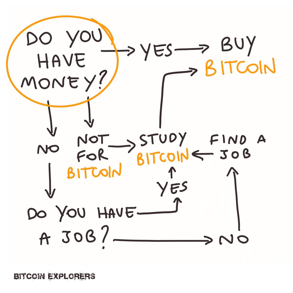 Bitcoin Teddy tweet media
