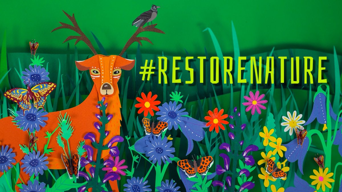 The European Parliament just adopted the law to #RestoreNature!!! Thank you for voting for our future. Our reaction will follow soon.