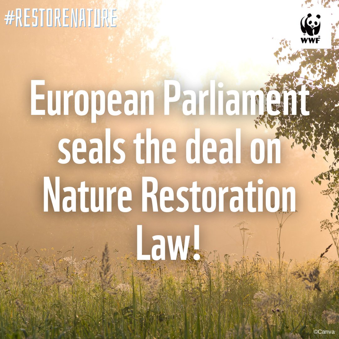 🥳 Another hard-fought win for the Nature Restoration Law! MEPs listened to over 1 million citizens, scientists, businesses & NGOs, and backed the negotiated agreement on the law, despite last-minute attempts by far-right & conservative MEPs to torpedo it #RestoreNature 🌿