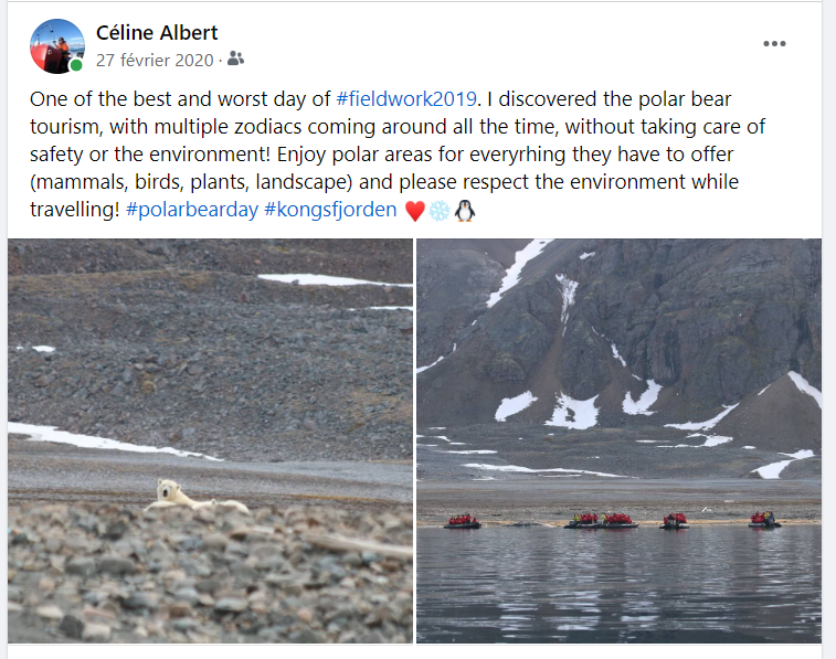 For #PolarBearDay, Fb shows me this memory from fieldwork 2019, Svalbard.
This is also a reality of tourism in the #Arctic: an over exploitation of seeing #polarbear, forgetting the other beauties that the Arctic offers, sometime even about safety. Remember, #polarbears are not🧸