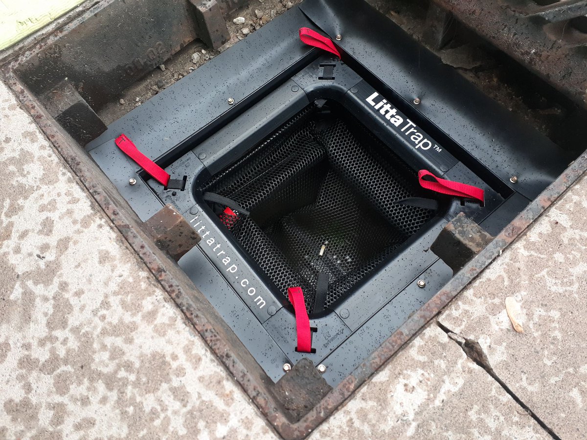 U of T Trash Team 🦝 tweet media