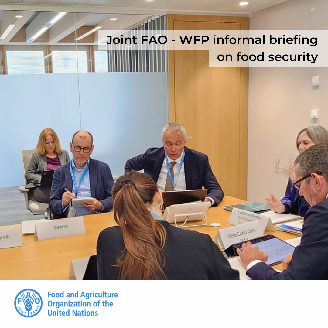 The @FAO @WFP Joint Briefing on Food Security took place at the Palais des Nations 🇺🇳 @dburgeon shared insights on financing food sectors, highlighting the significant proportion of people dependent on agriculture & need for continuous investments toward agricultural livelihoods