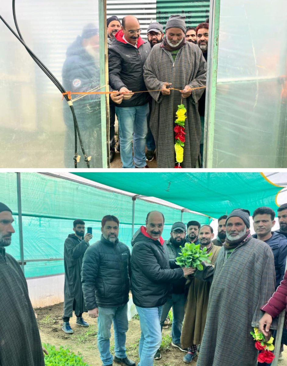 Director Agriculture inaugurates Hi-tech Polyhouse at Chakoora Pulwama
risingkashmir.com/director-agric…