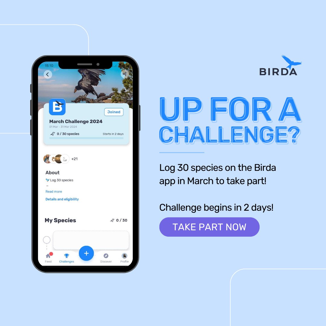 Are you up for a Challenge?? Join the March Challenge and test yourself to log 30 species over the month. Think you can do it? The March Challenge begins in 2 days time and we can't wait! #challenge #birdingchallenge #birdchallenge #birdachallenge #birda