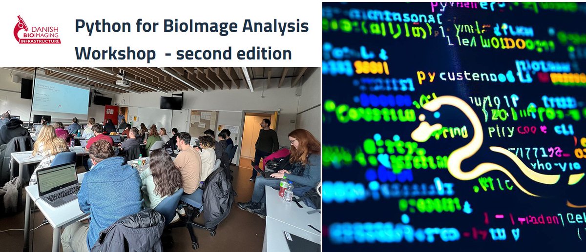 ⚪️Full House at the 2nd DBI-INFRA Python Bioimage Analysis Workshop. Today, we are delighted to welcome 25 participants. Researchers from various countries have joined the workshop tailored for lifescientists and bioimaging facility staff aiming to support users in image analysis