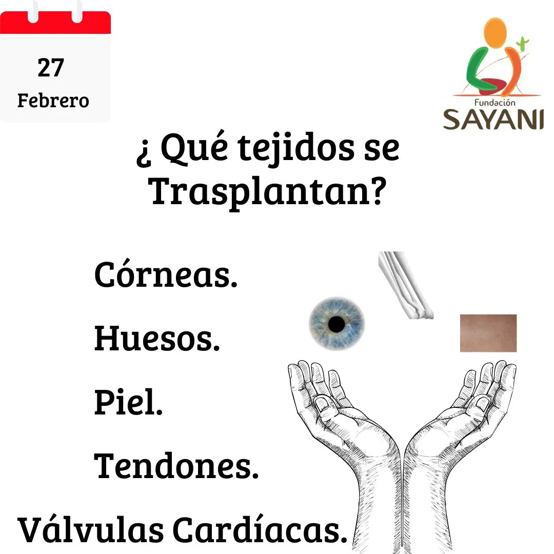 #DíaInternacionalDelTrasplanteDeÓrganosYTejidos. Conmemoramos este día con el fin de promover la donación de órganos y tejidos. Homenajear tanto a las personas donantes como a aquellos profesionales que intervienen en este acto. #Trasplante #Donates #Organos #Tejidos #27febrero