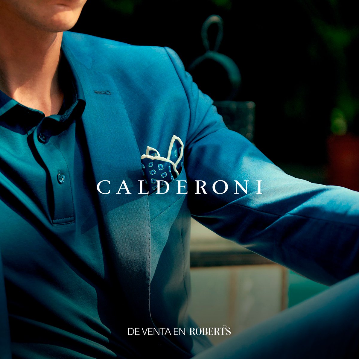 Robert's tweet media