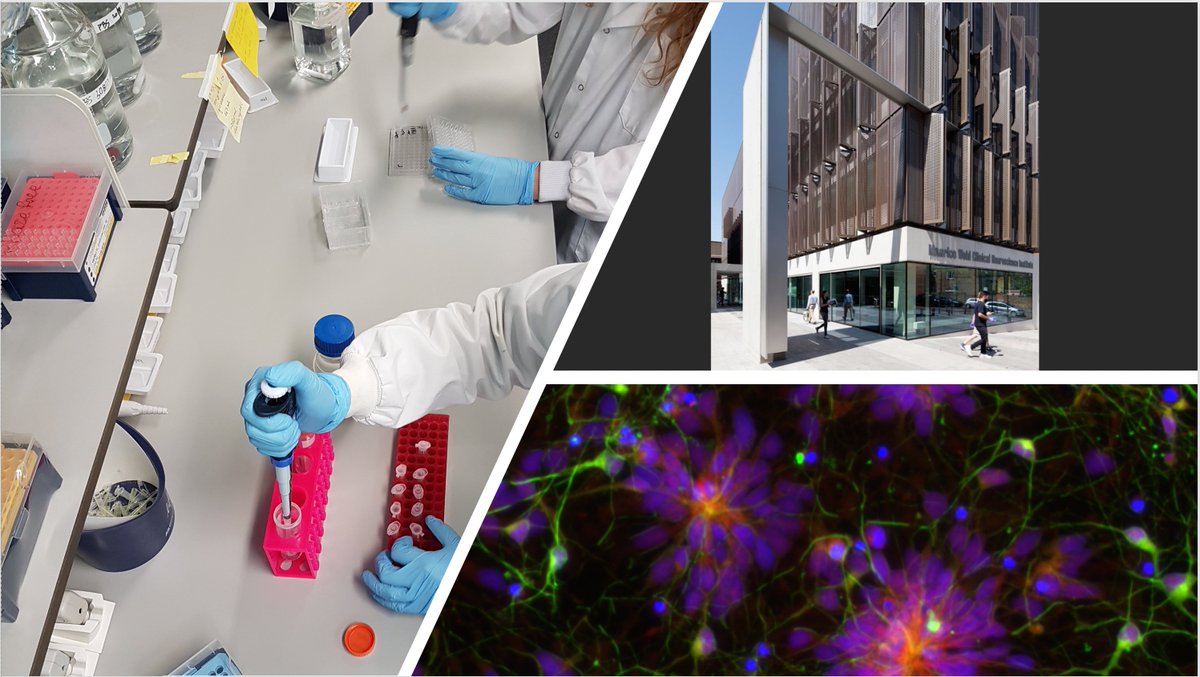 Sandrine Thuret (@thudrine) on Twitter photo We have an exciting #PhD project within this fully funded <a href="/NIHRMaudsleyBRC/">NIHR Maudsley Biomedical Research Centre (BRC)</a> programme using Hippocampal #Neurogenesis as a Biomarker to predict treatment response in major depressive disorder <a href="/KingsCollegeLon/">King's College London</a> <a href="/KingsIoPPN/">Institute of Psychiatry, Psychology & Neuroscience</a> 🔎⬇️ for project CO24-011 in #PrecisionPsychiatry We have an exciting #PhD project within this fully funded <a href="/NIHRMaudsleyBRC/">NIHR Maudsley Biomedical Research Centre (BRC)</a> programme using Hippocampal #Neurogenesis as a Biomarker to predict treatment response in major depressive disorder <a href="/KingsCollegeLon/">King's College London</a> <a href="/KingsIoPPN/">Institute of Psychiatry, Psychology & Neuroscience</a> 🔎⬇️ for project CO24-011 in #PrecisionPsychiatry