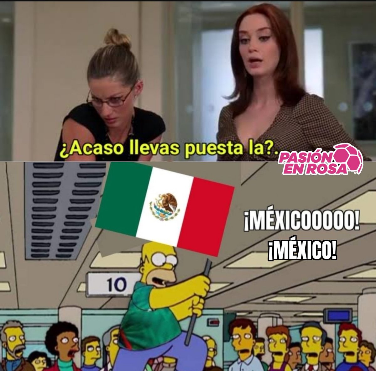 Pasión en Rosa tweet media