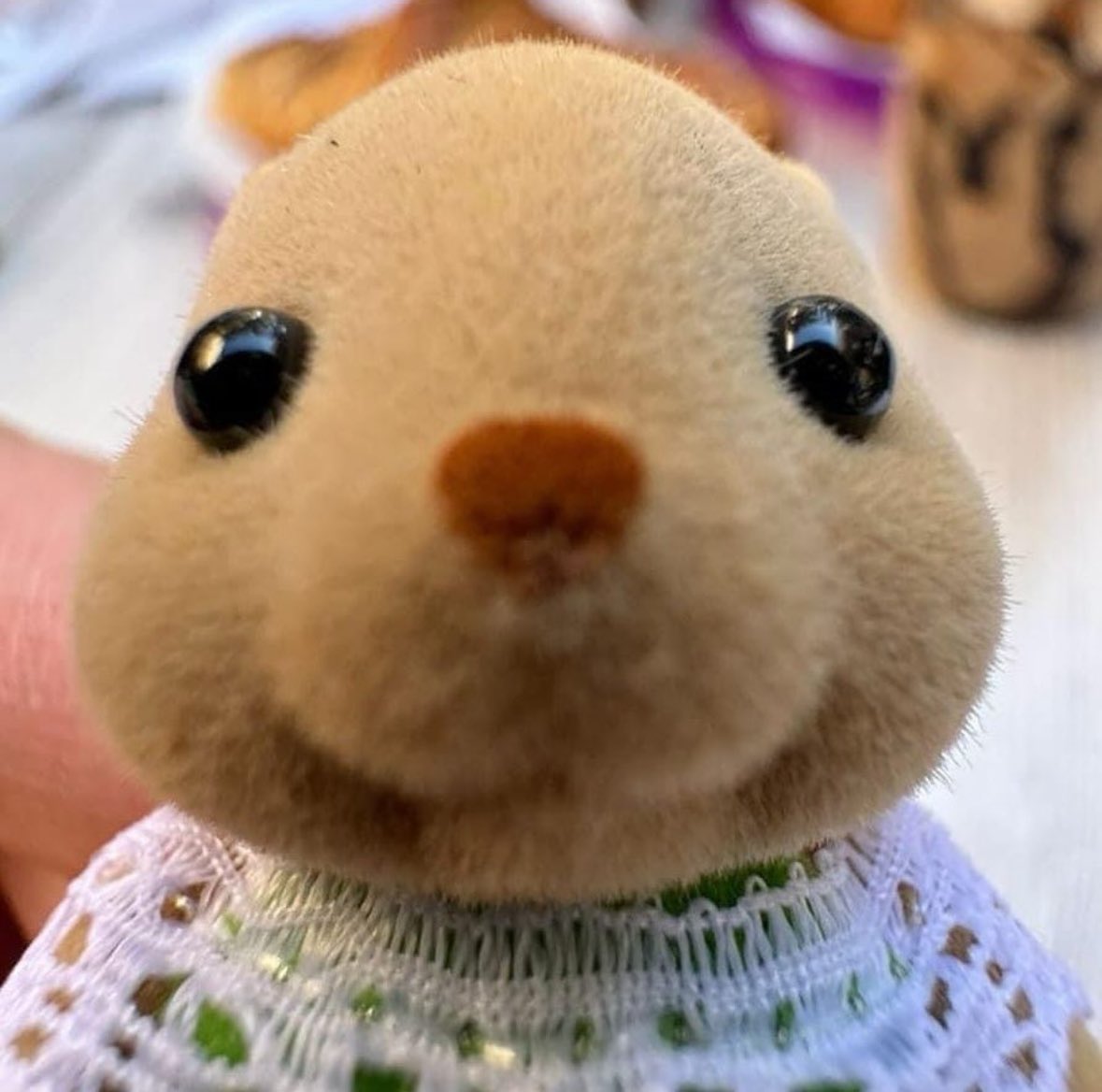 sadderlizards's tweet image. can i come over and stare at you like this