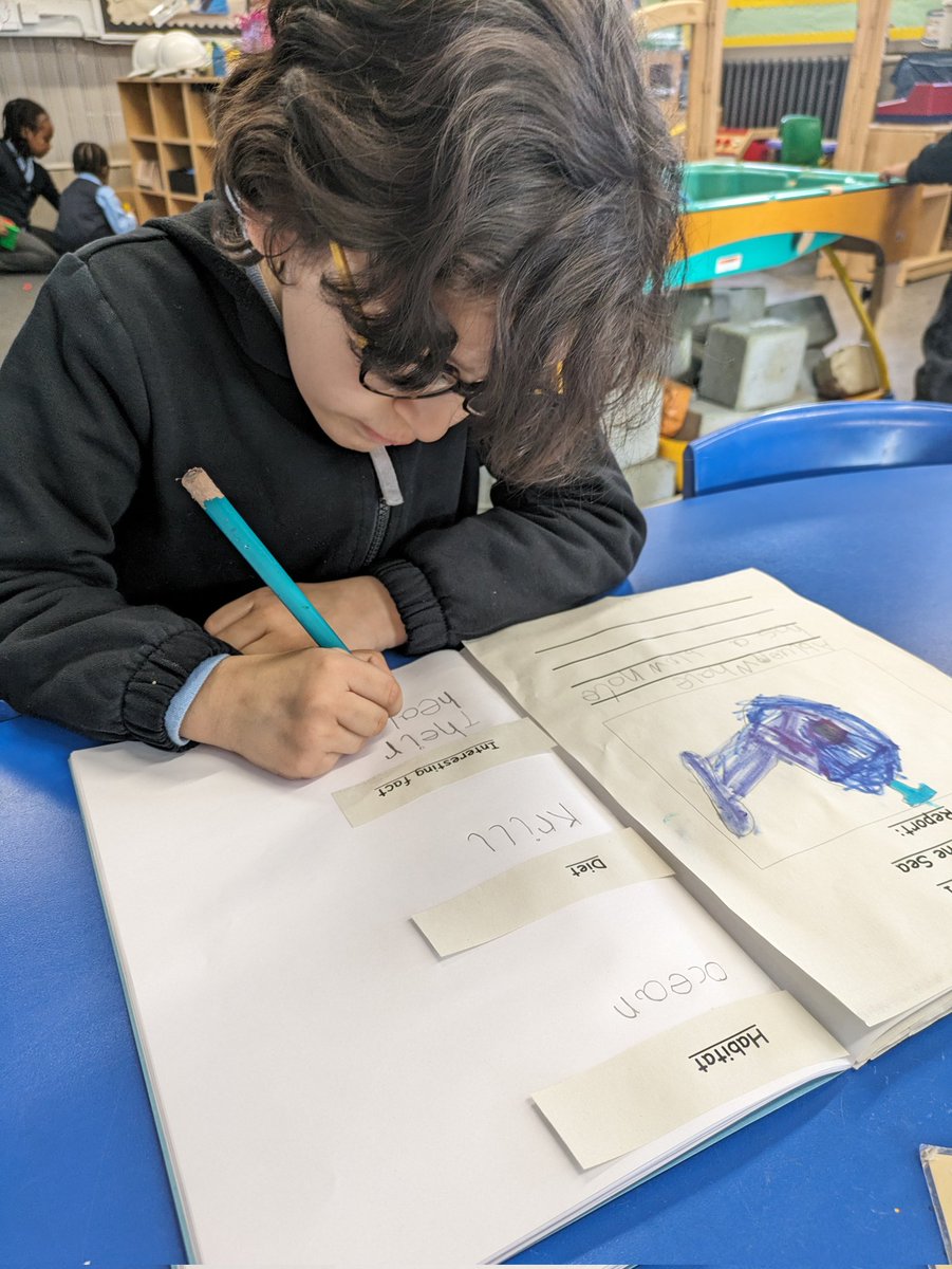 miss_mcgettigan's tweet image. Over the last few days, P2/1 have been working hard on their Under the Sea: Reports. Writing about a sea creature&apos;s habitat, diet, size and interesting fact! #underthesea #reportwriting #earlyyears