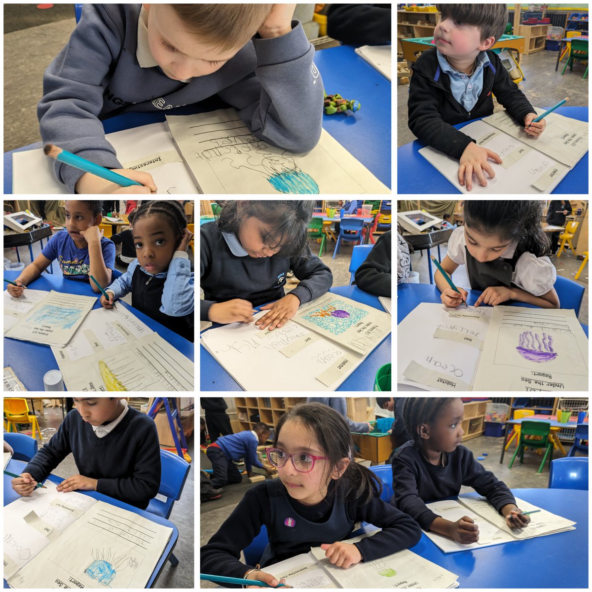 miss_mcgettigan's tweet image. Over the last few days, P2/1 have been working hard on their Under the Sea: Reports. Writing about a sea creature&apos;s habitat, diet, size and interesting fact! #underthesea #reportwriting #earlyyears