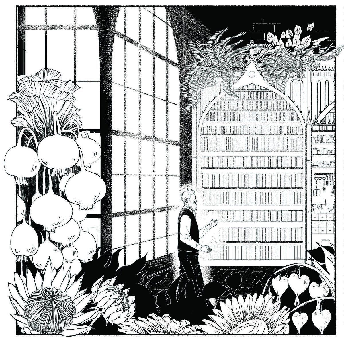 Yes to huge bookshelves