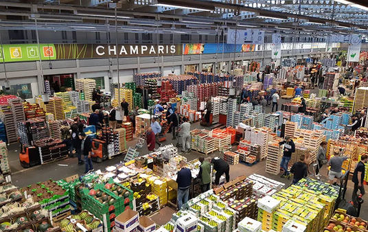 Ambassade de France au Nigéria tweet media