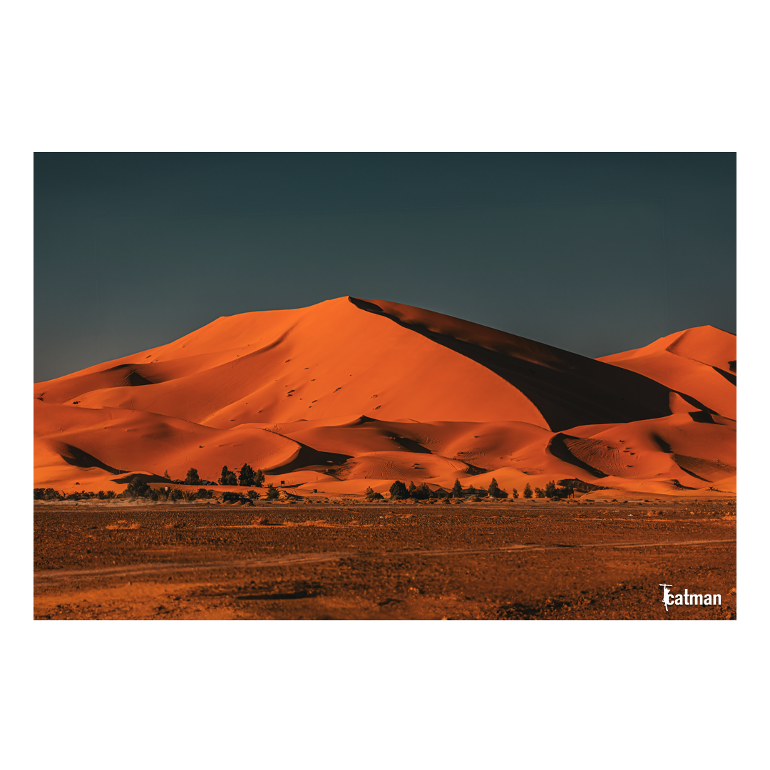 fkkcat's tweet photo. Sahra'nın Büyüsü
The magic of the Sahara

Sahra'da geçirdiğim günler unutulmazdı. Kumulların sonsuzluğunda kaybolmak, gün batımının kızıllığında büyülenmek ve çölün sessizliğinde huzuru bulmak... Her anı ayrı bir güzellikti. https://t.co/0exMrerfHO