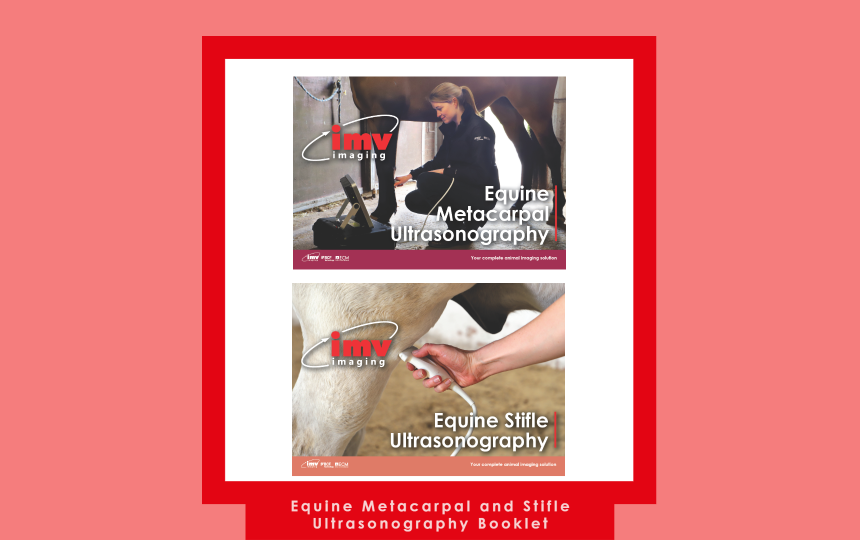 🐴📚 Attention Equine Vets! Dive into the world of Equine Metacarpal and Stifle Ultrasonography with our FREE downloadable booklet. 📖💡

Download your copy now: hubs.ly/Q02mpR550

#EquineUltrasonography #ClinicalSkills #IMVImaging #IMVIAcademy #EquineVet #VetMed #VetLife