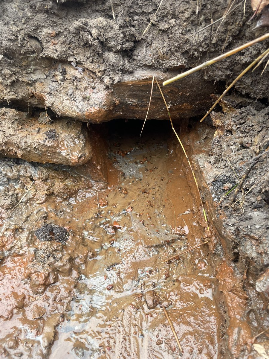 Dunscargreens1's tweet image. Second day with @DiggerduncTPL cleared ditch on 8th, back of the 17th managed to sort 3 large trenches ready for pipe and stone got all 3 culverts running. Then in front of the 18th green done a larger trench for bigger pipe to go in and found old clay pipe to join up.