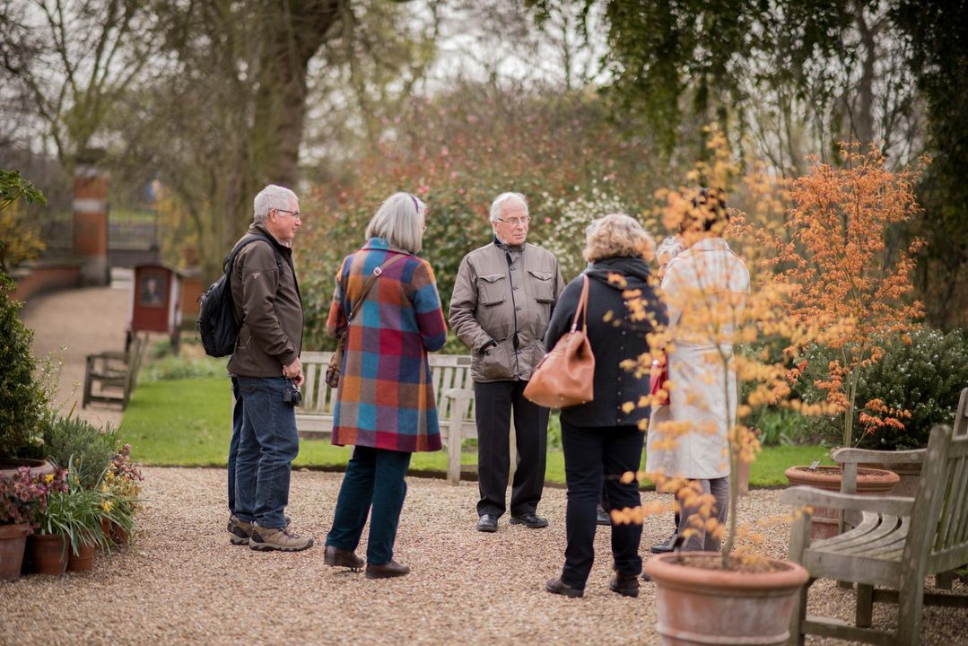 Living Medicine: Self-Care Basics workshop. In this one-day course led by Alex Laird, participants will enjoy discussion, tasting and identifying healing plants and some practical remedy making. 🥄🌿 Sunday 3 March, 10.30am - 4.30pm. Book online. #medicinalplants