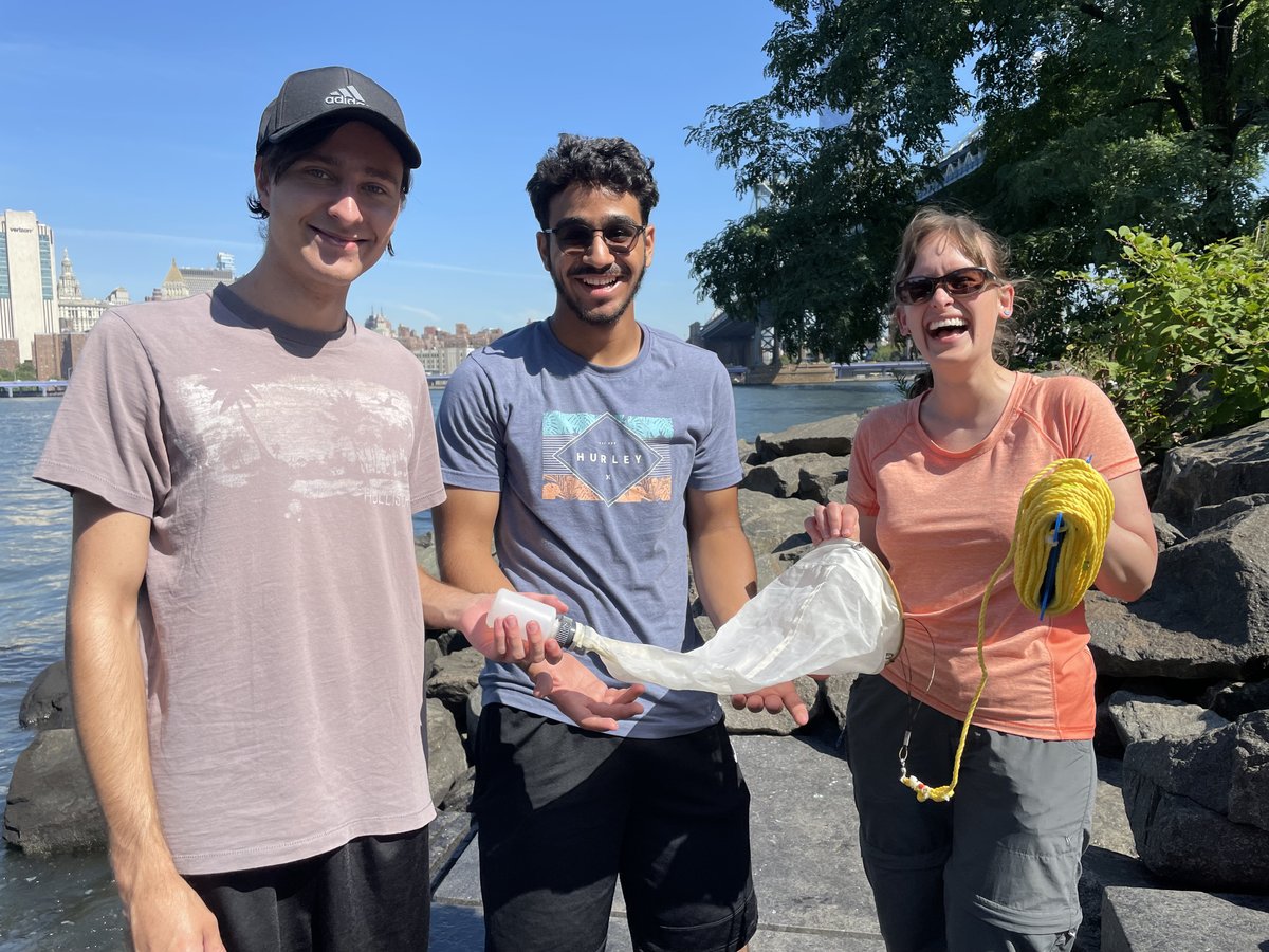 Emily Herstoff (@emilyherstoff) on Twitter photo What zooplankton live in NYC's East River? We found a ton of copepods, & many others (including larval lobsters)! Check out our paper, co-authored by multiple
<a href="/SFCNY/">St. Francis College</a> undergrads: Zooplankton of the East River (Brooklyn Bridge Park, New York).
eaglehill.us/URNAonline2/ac… What zooplankton live in NYC's East River? We found a ton of copepods, & many others (including larval lobsters)! Check out our paper, co-authored by multiple
<a href="/SFCNY/">St. Francis College</a> undergrads: Zooplankton of the East River (Brooklyn Bridge Park, New York).
eaglehill.us/URNAonline2/ac…
