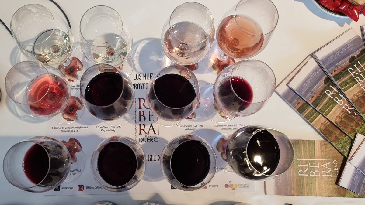 Somos una DO con un presente y un futuro prometedor 🍷 

Esta mañana, integrada en la Experiencia <a href="/Verema/">Verema</a>  Valencia, se ha celebrado una importante cata dirigida por <a href="/Tobes_aranda/">Tobes</a> y dedicada a los grandes vinos de bodegas creadas a partir del año 2000. 

Ha sido un éxito rotundo.