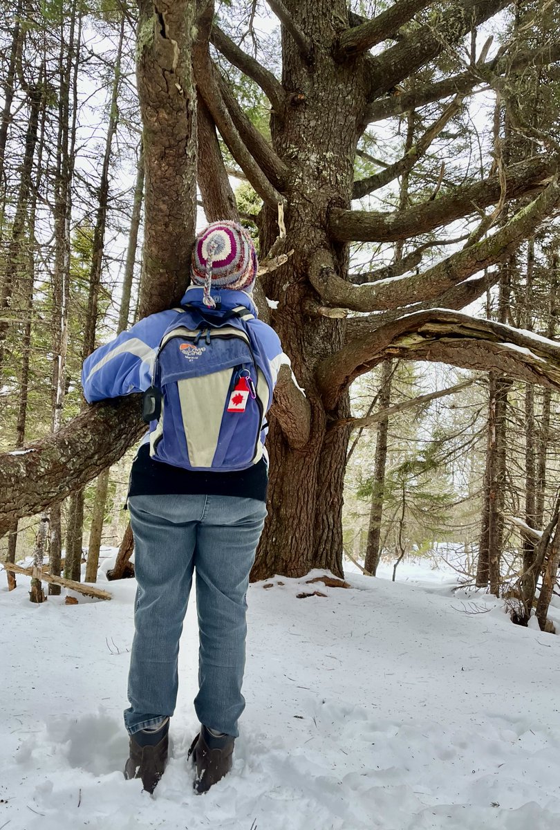 HikeNS's tweet photo. Saturday was a gorgeous day for a #WinterGuidedHike on the #IndianPath in Lunenburg!!❄️🥾 #HikeNS #Snowshoeing https://t.co/4MdDe4v7XT