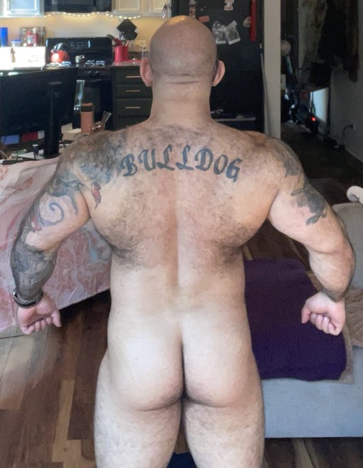 Woof does this bulldog need some sun! Hurry it up spring! Still looking wide though 😉🐶  #pup #bulldog<a href="/tag/muscle"class="tags"><span>#muscle</span></a><a href="/tag/bulldog"class="tags"><span>#bulldog</span></a><a href="/tag/pup"class="tags"><span>#pup</span></a>