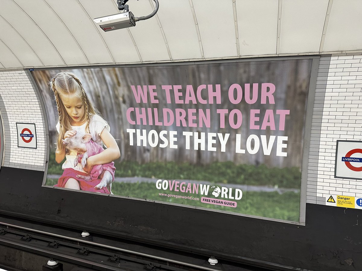 Ben Phillips tweet media