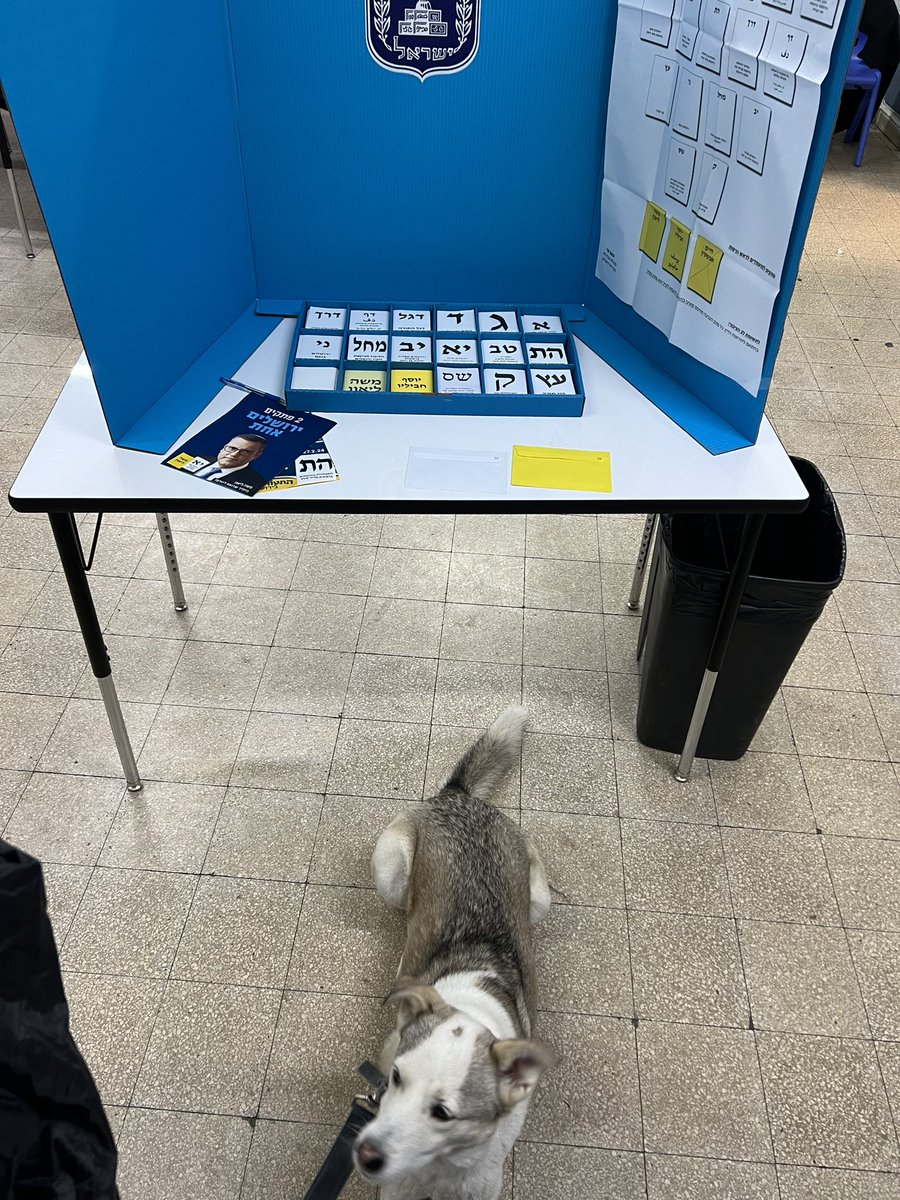 arielandau_'s tweet photo. אפילו סוּף יצא לממש את זכותו הדמוקרטית. תהיו סוּף. https://t.co/3Uj0qGcu0G