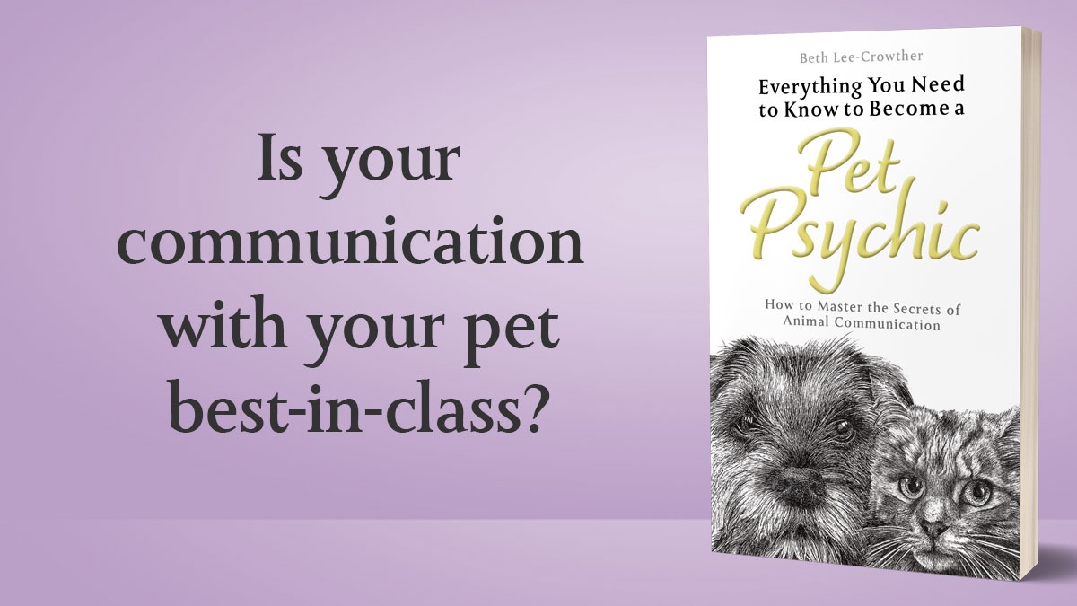 Did you catch #ThePetPsychic on Channel 5 last week? The author of #EverythingYouNeedtoKnowAboutBeingaPetPsychic will help you establish a deeper, richer relationship with your pet 🐶🐱 Grab your copy here: geni.us/PetPsychic