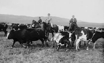 💡 Learn more about Ware’s story:

canada.ca/en/canadian-he…

thecanadianencyclopedia.ca/en/article/joh…

cbc.ca/news/canada/ca…

parks.canada.ca/culture/design…

💡 See his namesakes:

chandos.com/projects/post-…

albertashistoricplaces.com/2016/02/17/nam…

#BlackHistoryMonth