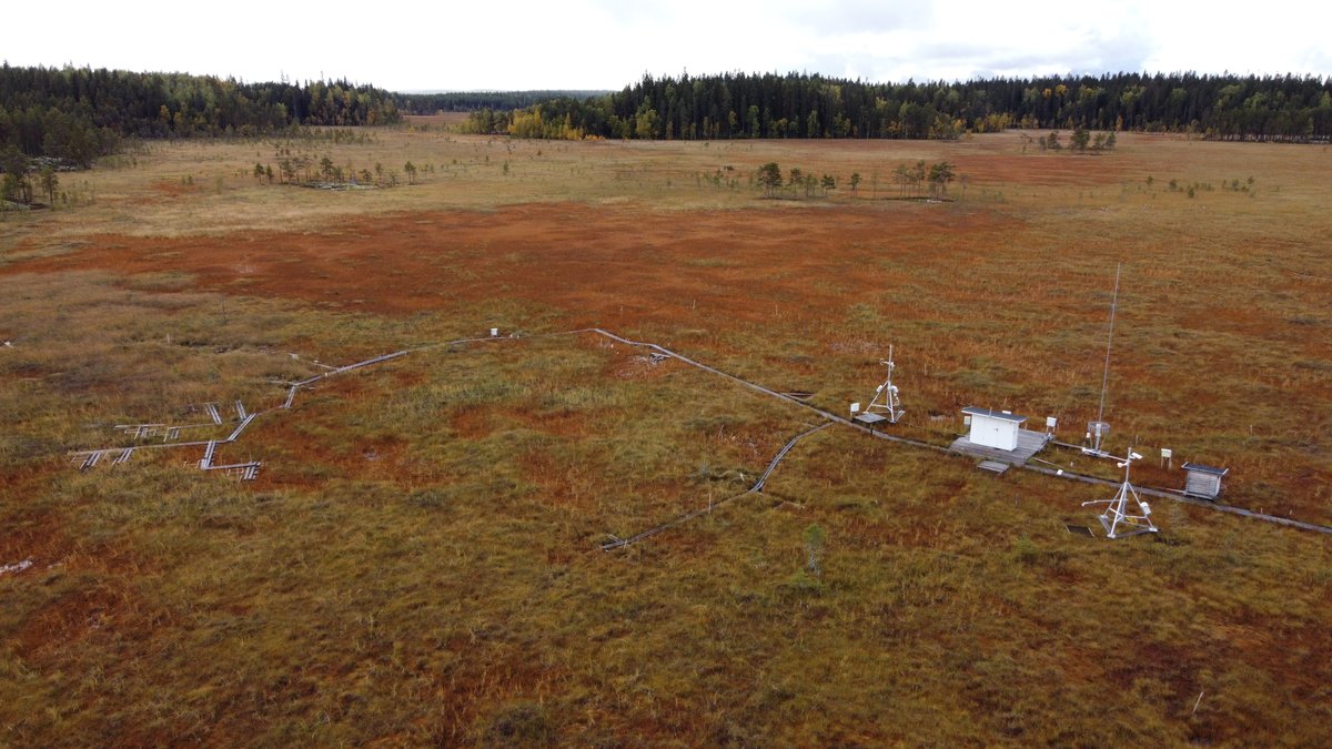 UEF // Peatland and Soil Ecology Research Group (@peat_and_trees) on Twitter photo 2024: Celebrating 20 yrs of #peatland research at Siikaneva! #siikaneva20yrs
Ecosystem-scale #CO2 fluxes & vegetation dynamics have now been monitored for 20 yrs <a href="/HyytialaHY/">Hyytiälä Forest Station</a>
Here's to 2 decades of advancing our understanding of the planet's carbon dynamics🥂
PC <a href="/tabearettelbach/">Tabea Rettelbach</a> 2024: Celebrating 20 yrs of #peatland research at Siikaneva! #siikaneva20yrs
Ecosystem-scale #CO2 fluxes & vegetation dynamics have now been monitored for 20 yrs <a href="/HyytialaHY/">Hyytiälä Forest Station</a>
Here's to 2 decades of advancing our understanding of the planet's carbon dynamics🥂
PC <a href="/tabearettelbach/">Tabea Rettelbach</a>