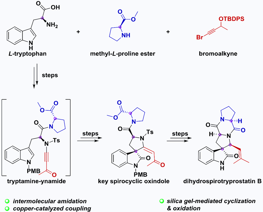 Asymmetric Synthesis of Dihydrospirotryprostatin B via a Silica Gel-Mediated Cyclization of Tryptamine-Ynamide
@Wiley_Chemistry @WileyEngineer @wileyinresearch @InnovationChem @isciverse @Innov_Materials @TotalSynthesis @TotalSyntheses 

doi.org/10.1002/cjoc.2…