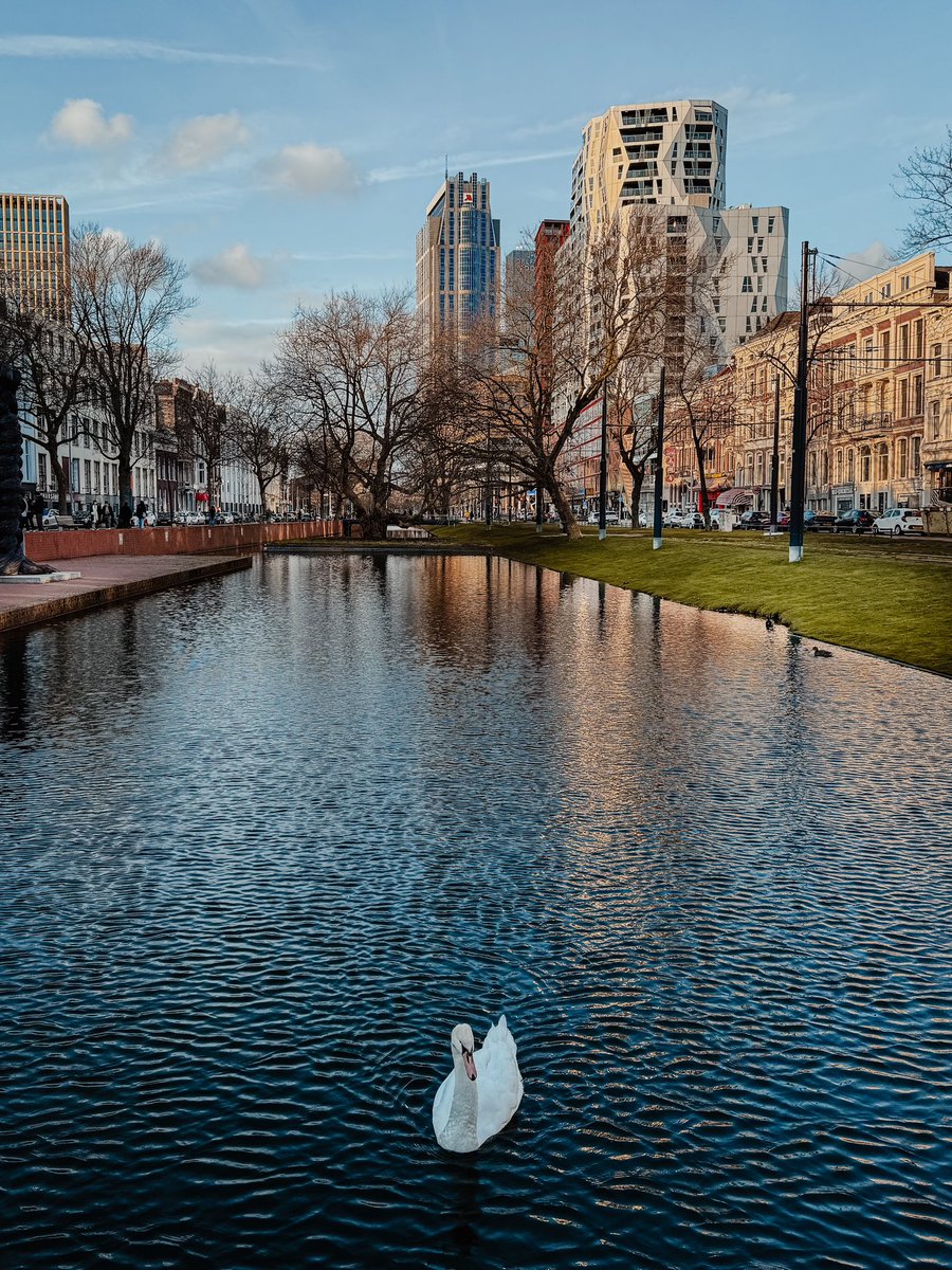 Kamel R. Laribi tweet media