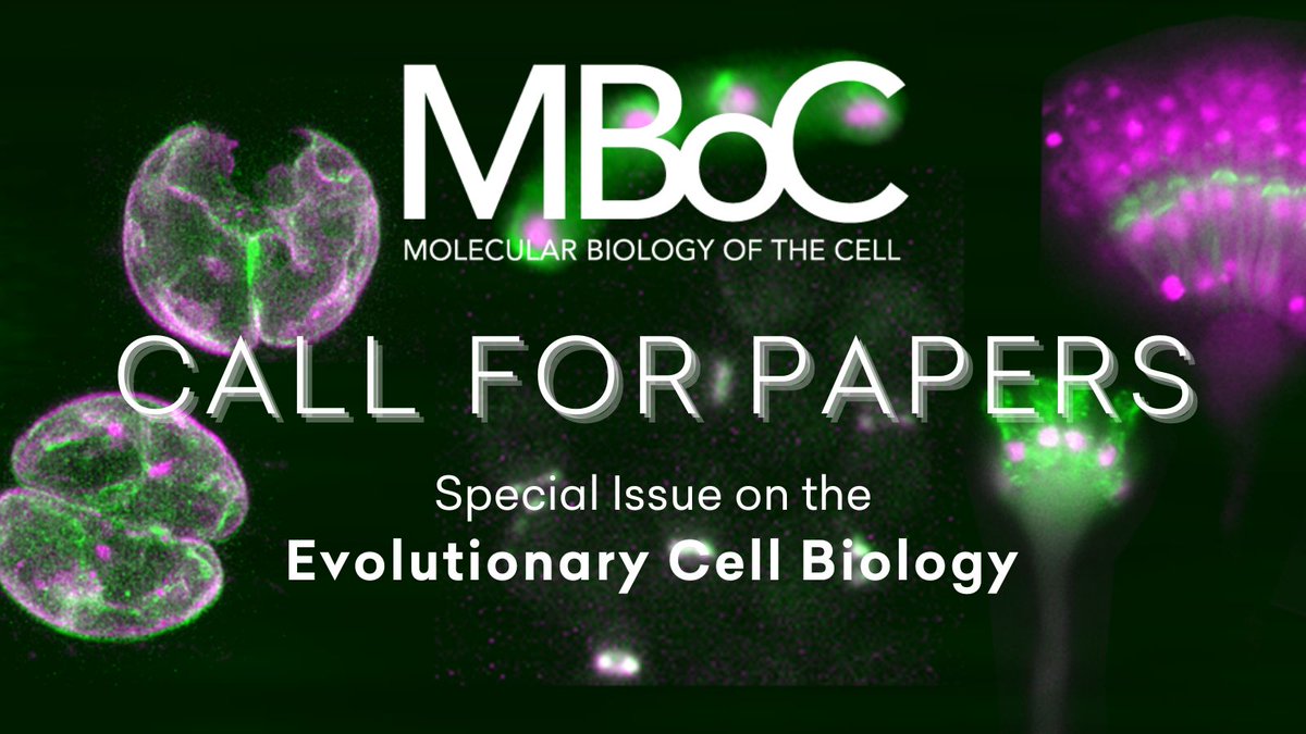 MBoC Call for Papers on Evolutionary #CellBiology. Submit an article by Dec 30 to lead editors: @Dey_Gautam, @EMBL @McMurraylab, @CUAnschutz @mcmomany, @universityofga @onishilab, @DukeU @C_M_Schroeder, @UTSWNews @HVGoodson, @NotreDame Submit: molbiolcell.org/evolutionary-c…