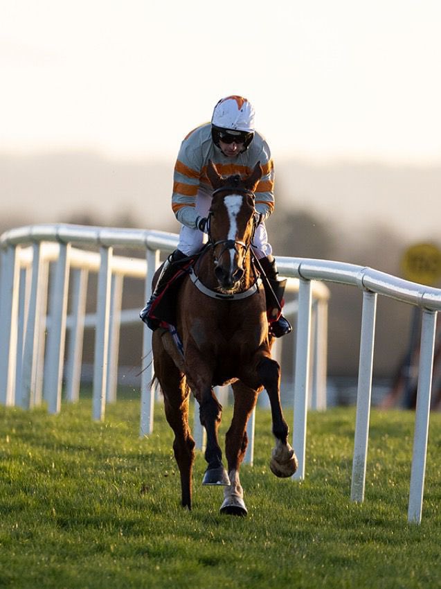 Closutton Racing Club tweet media