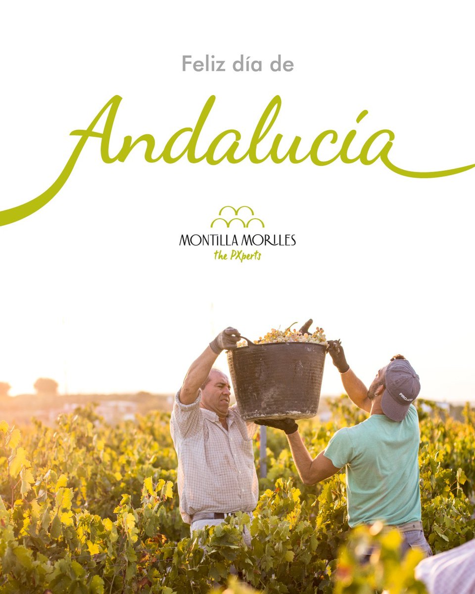 vinosdomm's tweet photo. 💚🤍💚 ¡Feliz día de Andalucía!

🌳 Ser andaluces es uno de nuestros mayores orgullos. Celebramos cada día el lugar en que nos has tocado nacer y los regalos que nuestra tierra nos ofrece cada día. 🍇

🤗 ¡Que paséis un gran día, andaluces! ¡Brindemos por nosotros! 🥂

#cado https://t.co/bEqCKSyTnh
