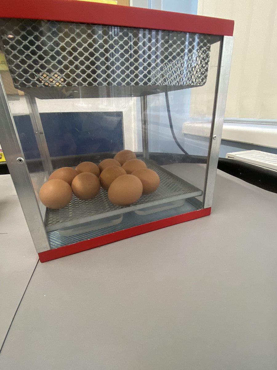 mrs_mcclare's tweet image. We have had a very special delivery in Year 2. We can’t wait for our eggs to hatch. 🐣 @RedscopeSchool @LisaSigsworth @mrs_hipwell