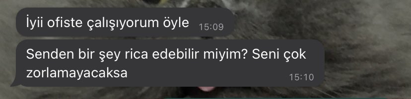 İnternetimi kapatmama sebep olacak o mesaj… Zolar knk nolur kimse benden bişi rica etmesin çünkü ben kendi ricalarımı bile yerine getiremiyorum