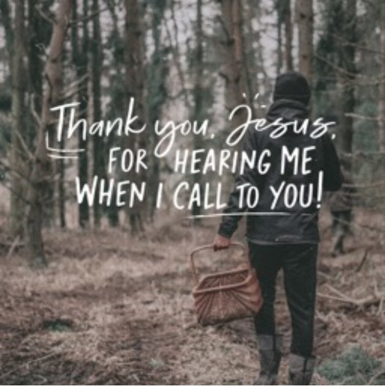 GM Fishers of Men🪝✝️ Read Luke 18:35–43 Ever feel unnoticed? Our Savior notices. Call to Him! Others may pass us by, but He’ll stop for us. Jesus, thank U for hearing me when I call to U. Like the blind man who received his sight, help me to follow & praise You all my life.🙏🏻