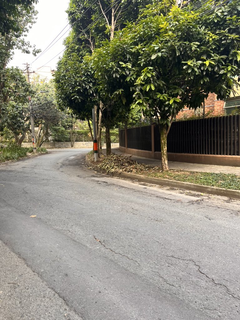 jpcuartas's tweet photo. @Enviaseo buenos días amigos. Les podría pedir ayuda para recoger los puntos múltiples de basura orgánica (árboles y ramas caídas) por los alrededores del barrio Jardines? Comparto fotos. https://t.co/eINl25H8Iq
