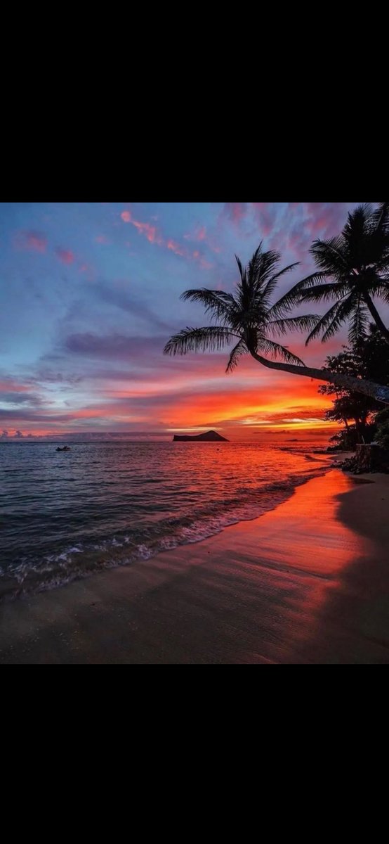 Oahu, Hawaii #natureseyes  #natureseye #naturephotography #nature #naturelovers #naturelover #beach #sunset #sunrise_sunset_photogroup #sunrise #sunsets