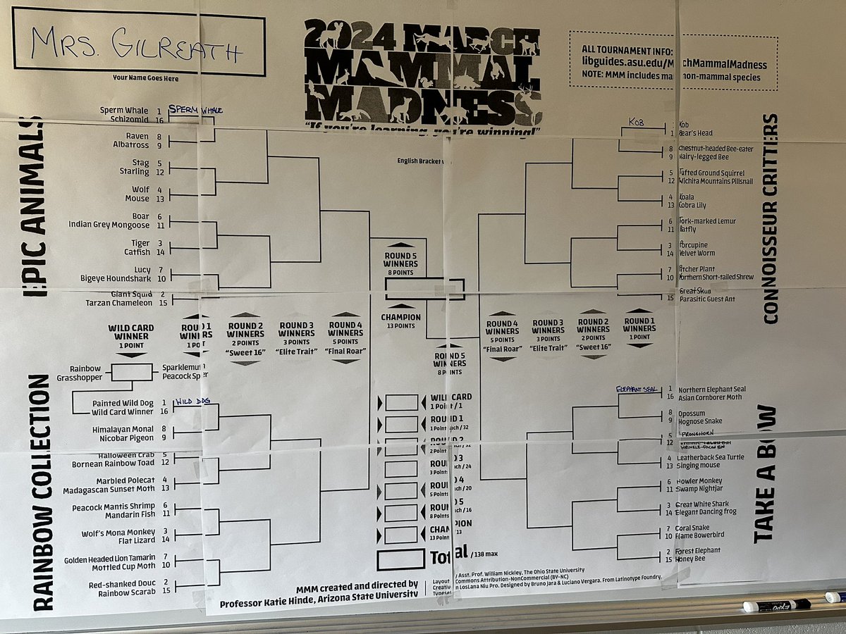 It’s that time of the year again!  Students are researching and making their own brackets.  Can they best mine?  We shall see!  #MarchMammalMadness