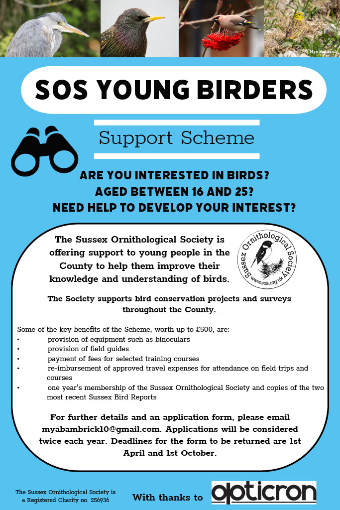 Exciting opportunity for young nature enthusiasts in Sussex! We're providing grants and gear worth up to £500 to support your interest in birding or eco-careers. Contact Mya at myabambrick10@gmail.com for more details
