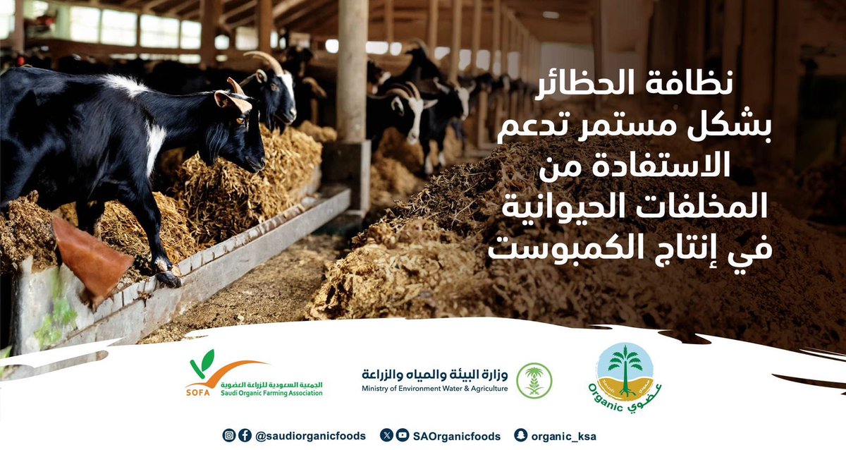 عزيزي المزارع العضوي..
احرص على نظافة الحظائر لتكون بيئة حظيرة الماشية نظيفة وصحية و آمنة.
#نساند_عزيمتك_وندعم_انطلاقتك