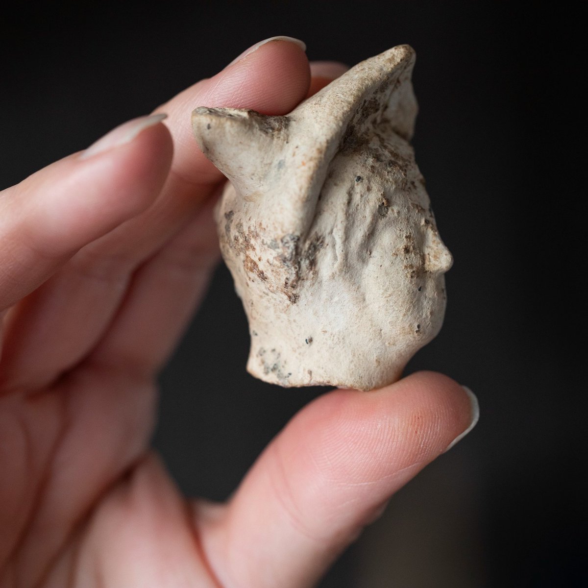 Smallhythe Place (@smallhythent) on Twitter photo We open tomorrow! Whether you're an #EllenTerry enthusiast, a theatre lover, keen to find live theatre this summer, or are just interested in "incredibly rare" Roman finds, come down to #SmallhythePlace and discover what we have to offer in 2024! | Wed-Sun, 11am-5pm <a href="/southeastNT/">National Trust South East</a> We open tomorrow! Whether you're an #EllenTerry enthusiast, a theatre lover, keen to find live theatre this summer, or are just interested in "incredibly rare" Roman finds, come down to #SmallhythePlace and discover what we have to offer in 2024! | Wed-Sun, 11am-5pm <a href="/southeastNT/">National Trust South East</a>