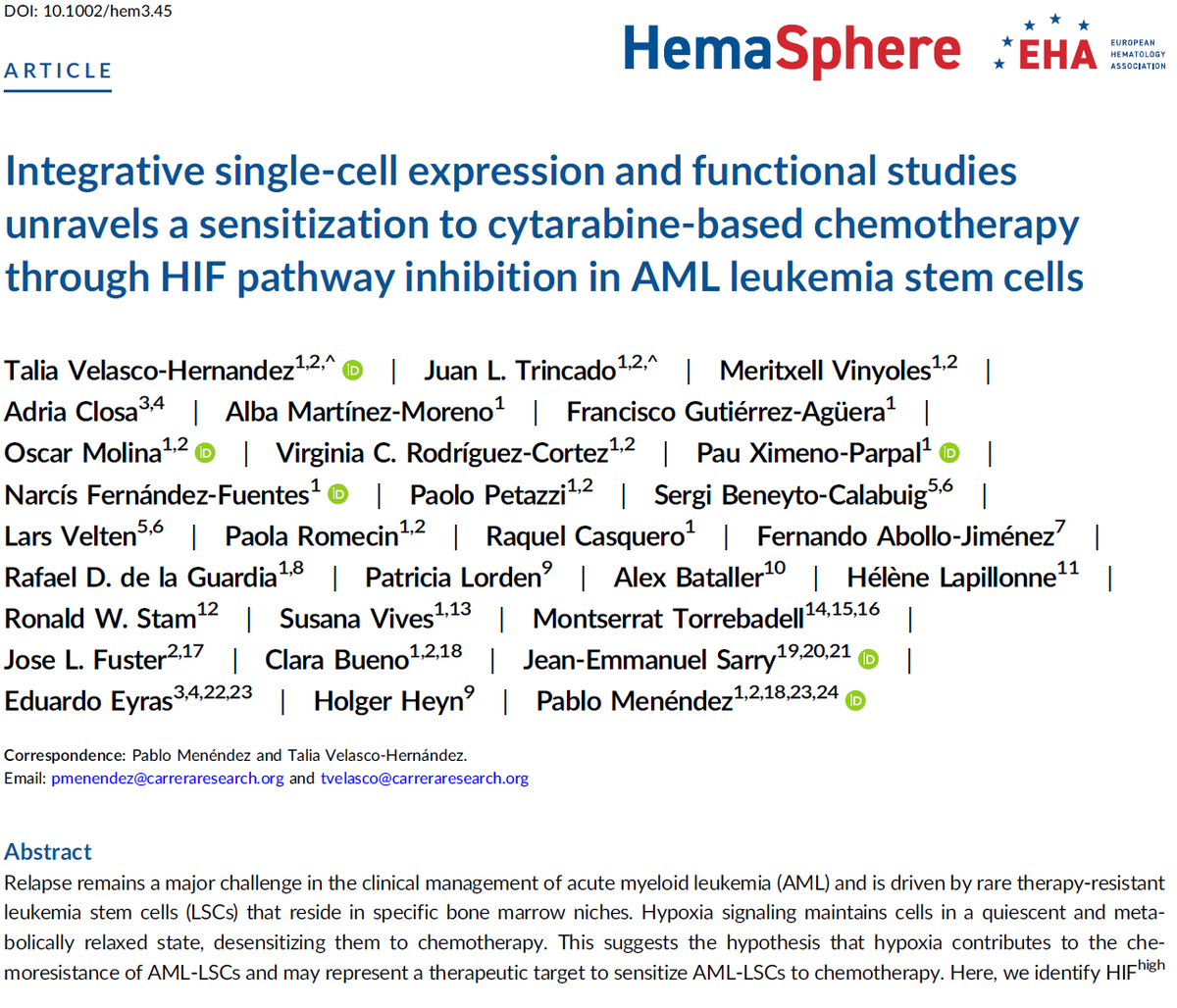 Menendez_Lab's tweet photo. Happy to share our new AML study led by Talia Velasco @HifLICs @Menendez_Lab @CarrerasIJC.  #LeukemiaStemCells, #HIFpathway. A unique scRNAseq dataset of matched DX-REL AML patients. Great team work. Achieved thanks to all our clinical, computational &amp; pre-clinical collaborators https://t.co/hvHWFV5nsI