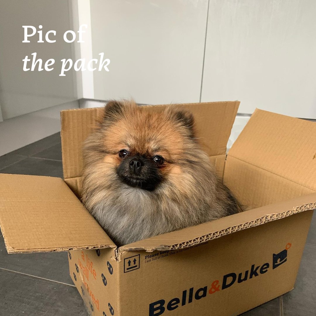I fits, I sits 📦

📸 @‌ronnie.the.bitch on IG

#PicOfThePack