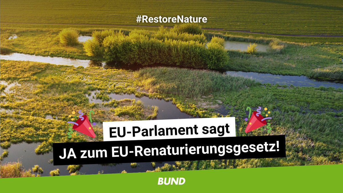 Mit großer Mehrheit stimmt das EU-Parlament dem #EU-#Renaturierungsgesetz zu. 🥳 Der Weg ist damit frei für den Schutz von #Natur- und #Klima, für mehr #Katastrophenschutz, lebenswerte #Städte und #Ernährungssicherheit! #RestoreNature #RestoreOcean
