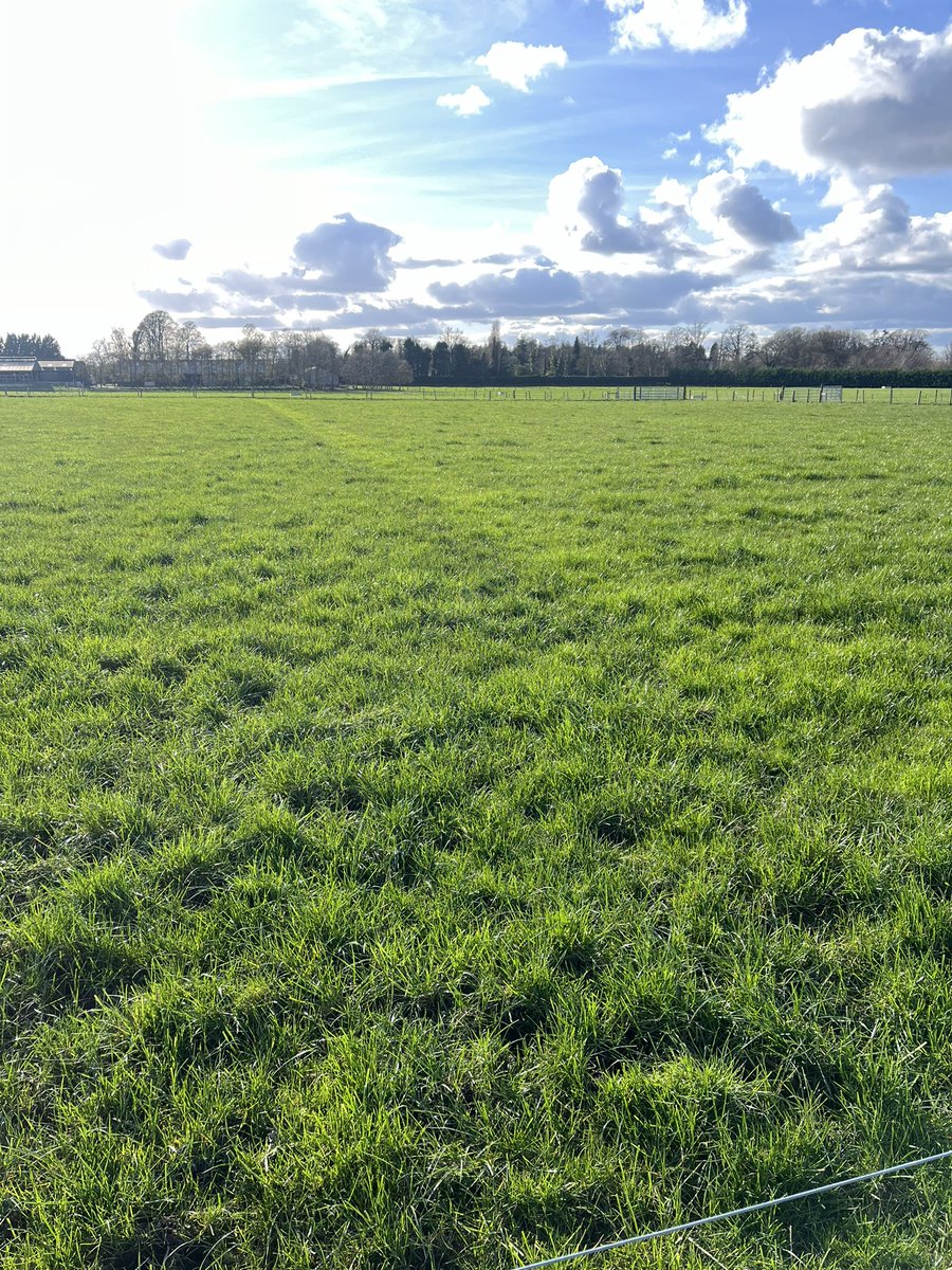 UCD Systems Herd tweet media