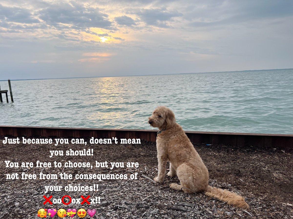 Just because you can, doesn’t mean you should! You are free to choose, but you are not free from the consequences of your choices!! ❌oo⭕️ox❌x!! 🥰💖😘💝😍💗🐾